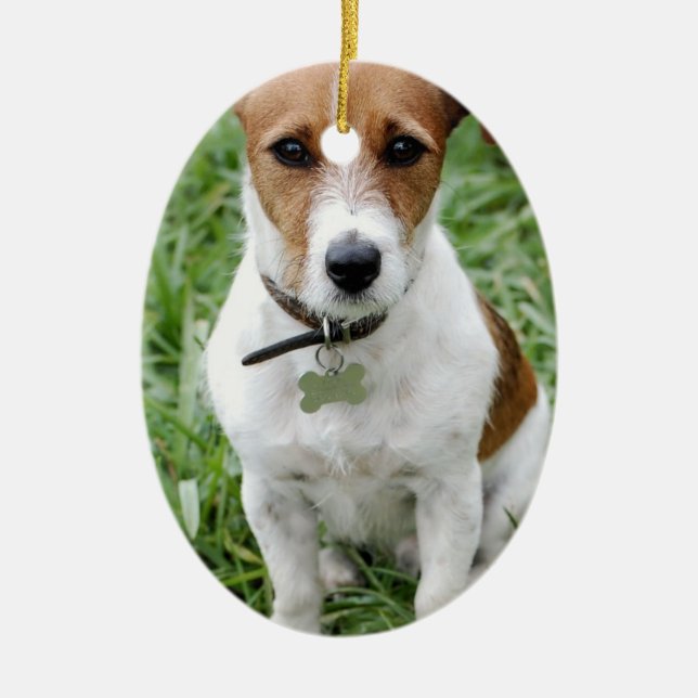 Ornement de Jack Russell (Devant)