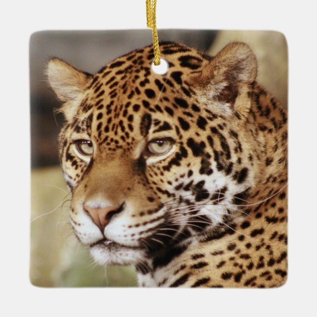 Ornement de Jaguar (Devant)