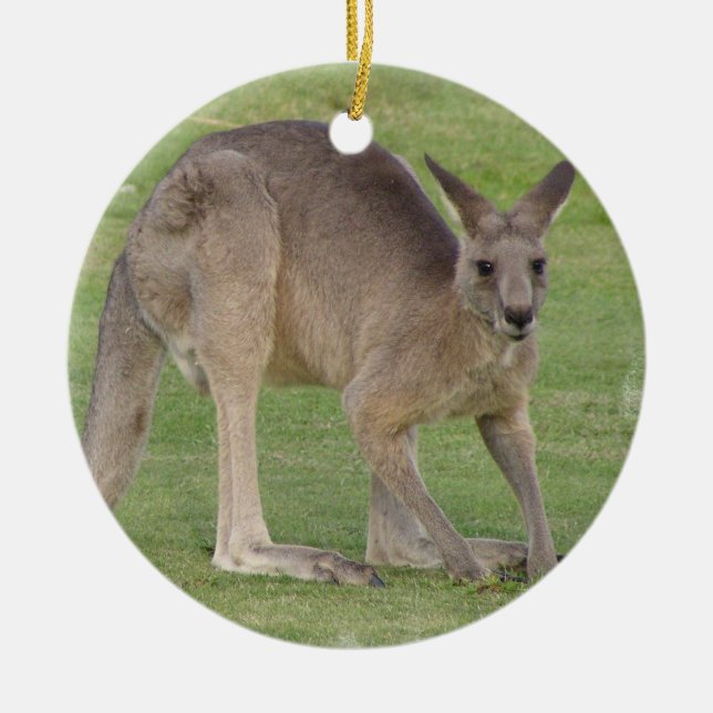 Ornement de Kanagaroo (Devant)