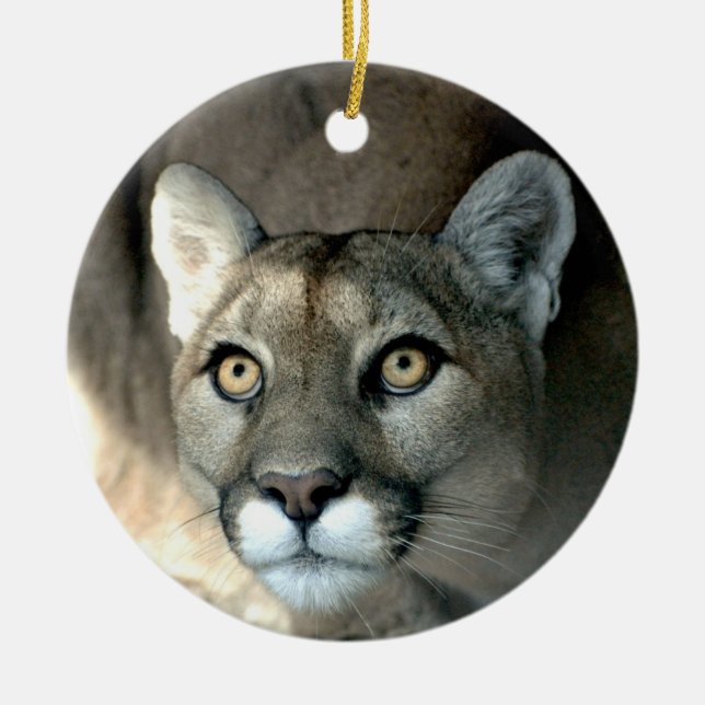 Ornement de Kaya (Devant)