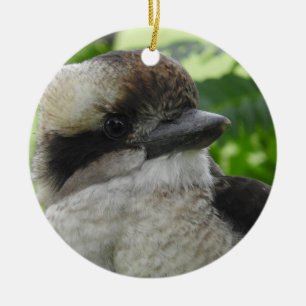 Ornement de Kookaburra