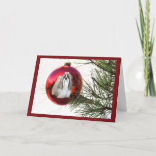 Ornement de la carte de Noël Shih Tzu