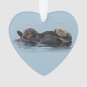 Ornement de la faune, vie marine, loutre de mer