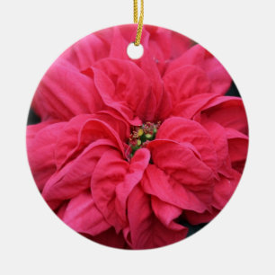 Ornement de la fête rouge Poinsettia