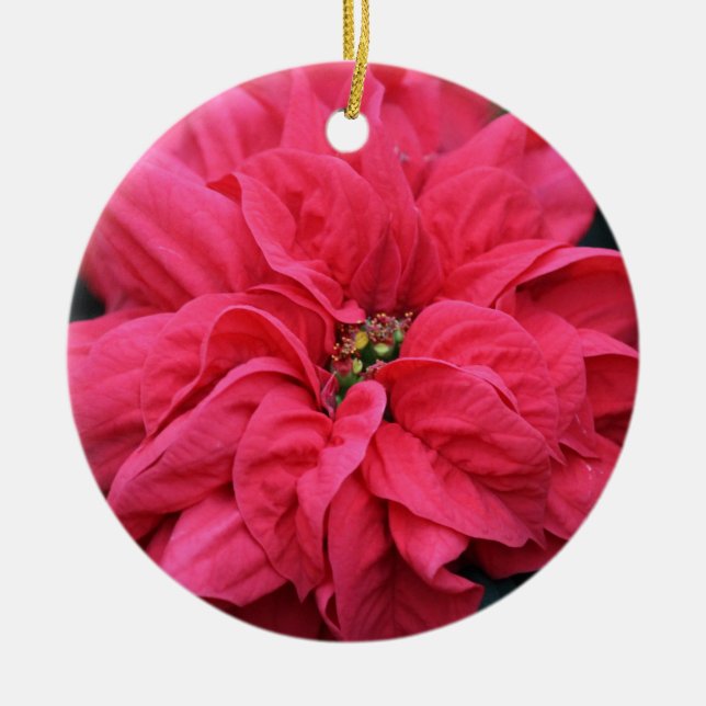 Ornement de la fête rouge Poinsettia (Devant)