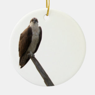 Ornement de l'oiseau balbuzard