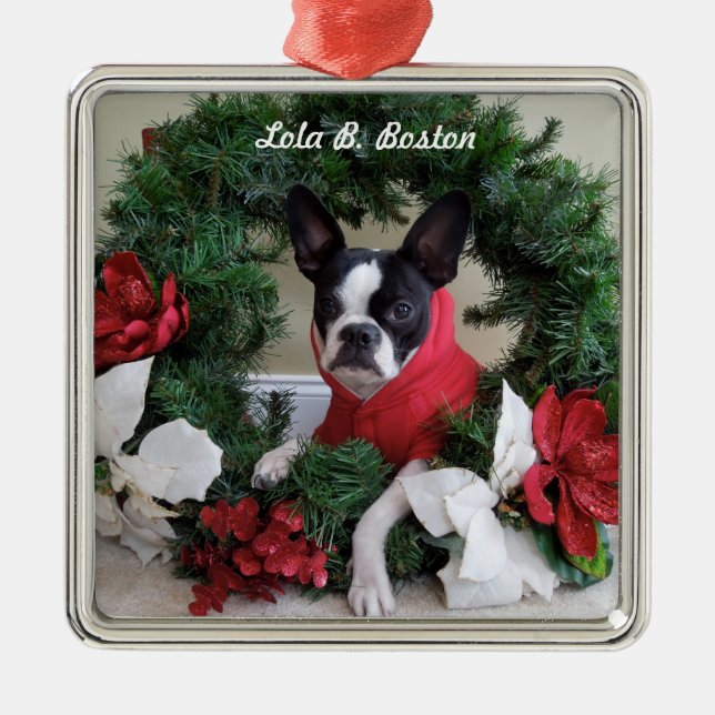 Ornement de Lola B. Boston de guirlande de (Devant)