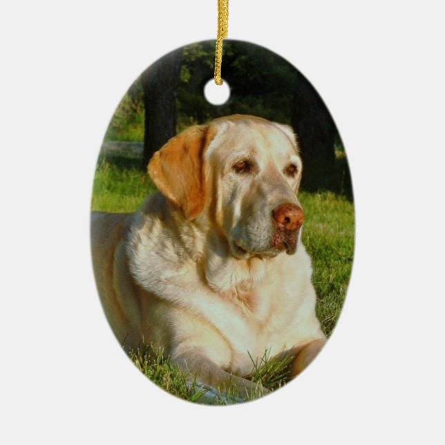 Ornement de mémoire d'animal familier - faites vos (Devant)