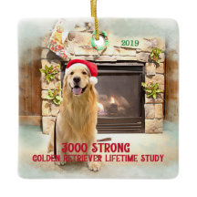 Ornement de Noël 2019 - 3000 Fort