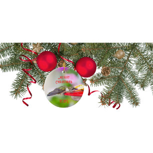 Ornement de Noël Colibri
