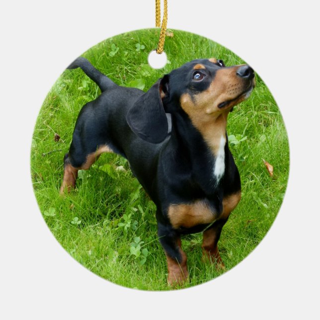 Ornement de Noël Dachshund avec votre photo (Devant)