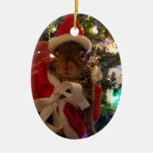 Ornement de Noël d'amarante