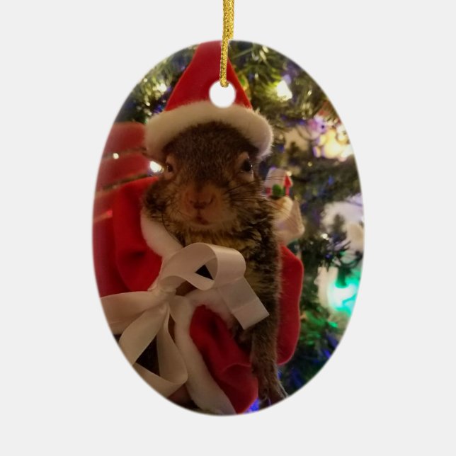 Ornement de Noël d'amarante (Devant)