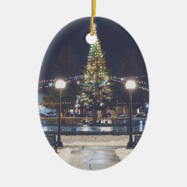 Ornement de Noël d'anaconda (Devant)