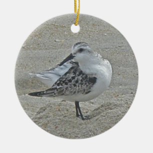 Ornement de Noël de bécasseau