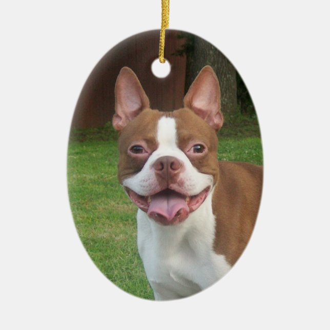 Ornement de Noël de Boston Terrier (Devant)