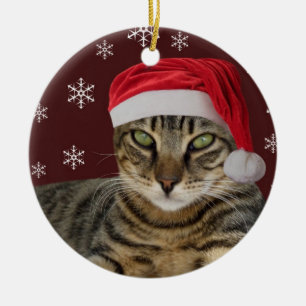 Ornement de Noël de chat de Père Noël