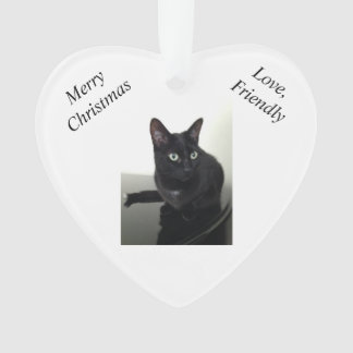 Ornement de Noël de chat noir