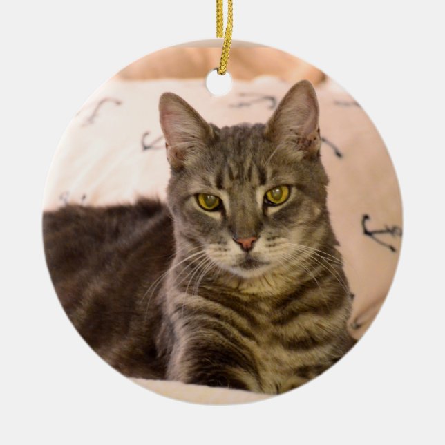 Ornement de Noël de chat tigré de Greg (Devant)