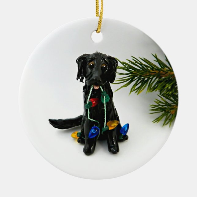 Ornement de Noël de chien de trieur à revêtement p (Devant)