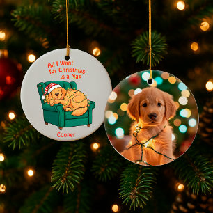 Ornement de Noël de chien drôle - Photo de compagn