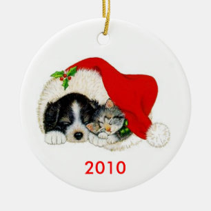 Ornement de Noël de chien et de chat