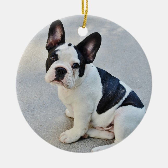 Ornement de Noël de Chien-taureaux français avec v (Devant)