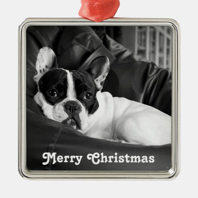 Ornement de Noël de Chien-taureaux français person (Devant)