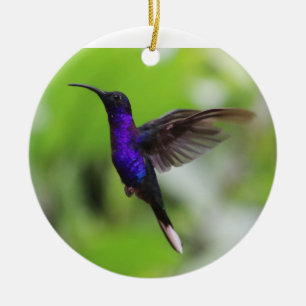Ornement de Noël de colibri mauve