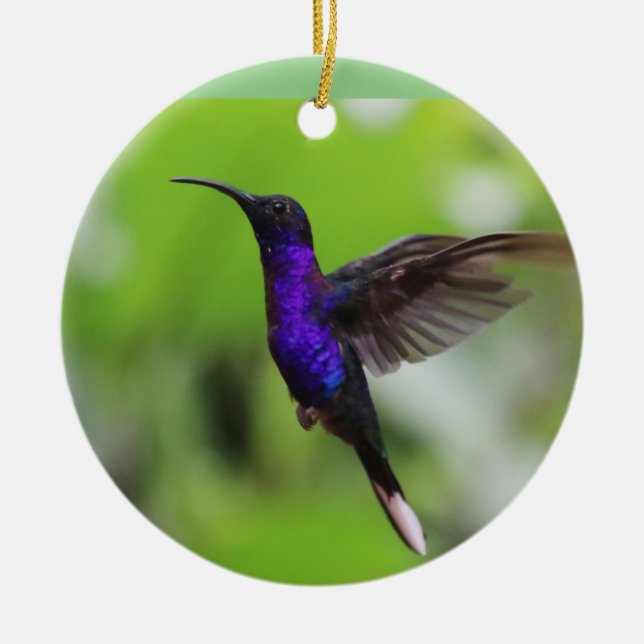 Ornement de Noël de colibri pourpre (Devant)