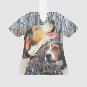 Ornement de Noël de Coonhound de marcheur de