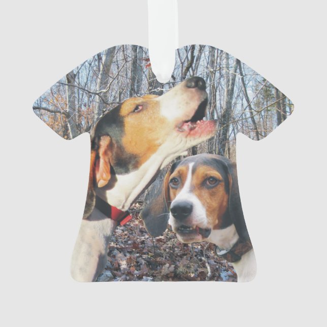 Ornement de Noël de Coonhound de marcheur de (dos)