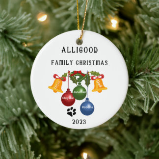 Ornement de Noël de famille 2023, personnalisé