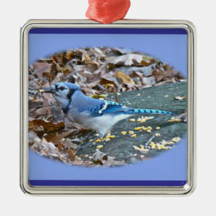Ornement de Noël de geai bleu