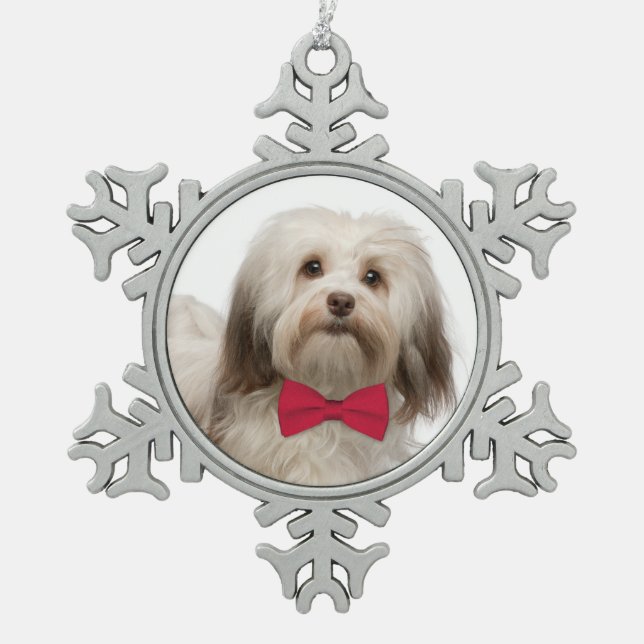 Ornement de Noël de Havanese (Devant)