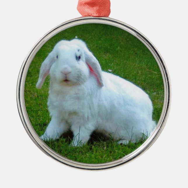 ornement de Noël de lapin (Devant)