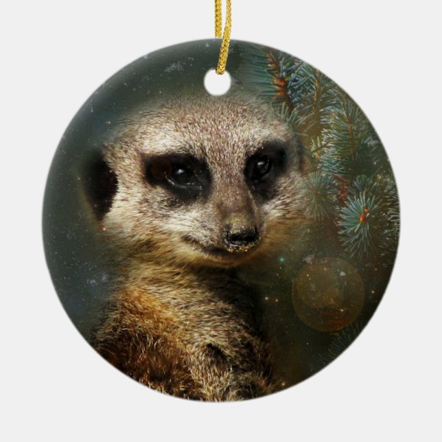 Ornement de Noël de Meerkat (Devant)