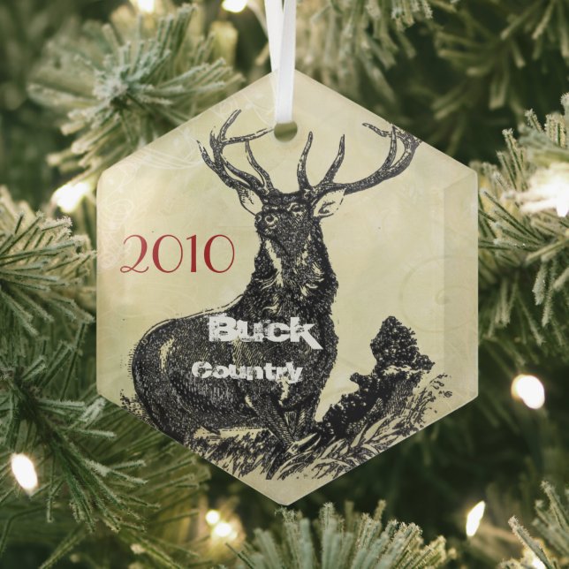 Ornement de Noël de Moose Country (Insitu)
