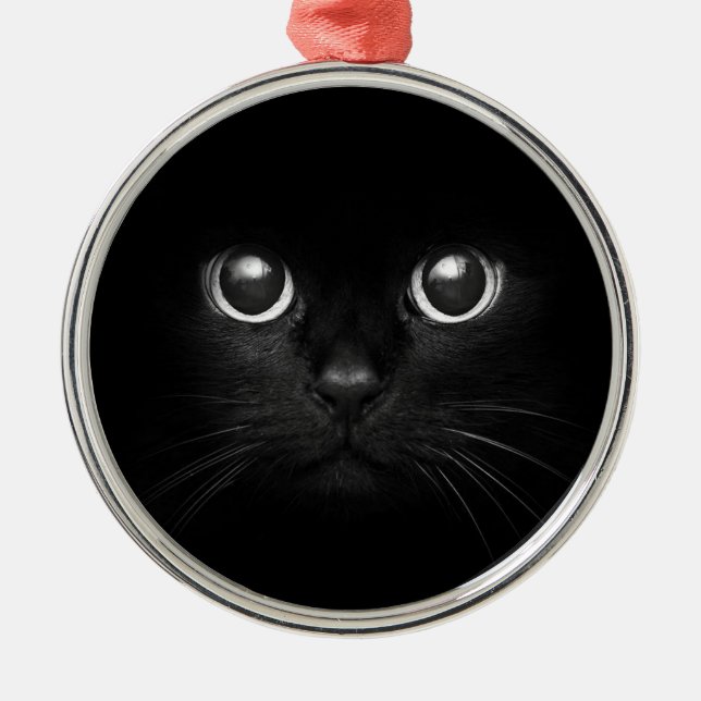 Ornement de Noël de Noël de chat noir (Devant)