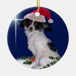 Ornement de Noël de Papillon