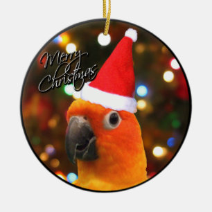 Ornement de Noël de Père Noël Sun Conure