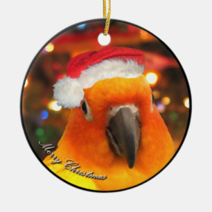 Ornement de Noël de Père Noël Sun Conure