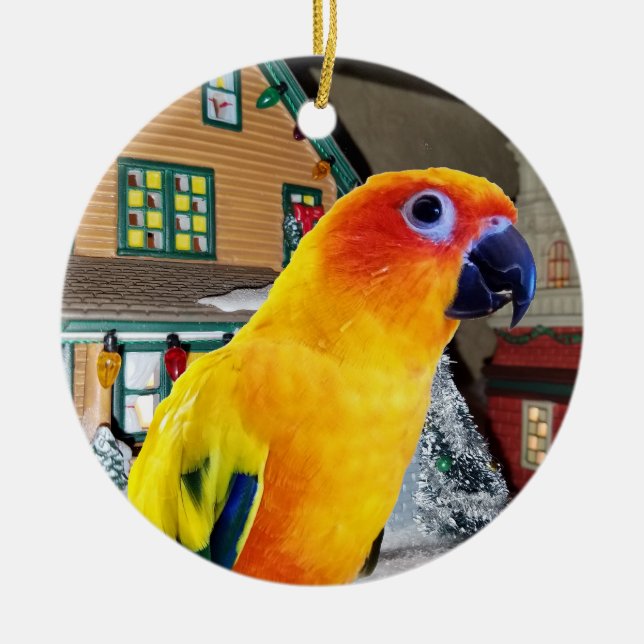 Ornement de Noël de perroquet de Sun Conure (Devant)