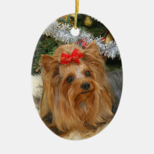 Ornement de Noël de photo de Yorkie
