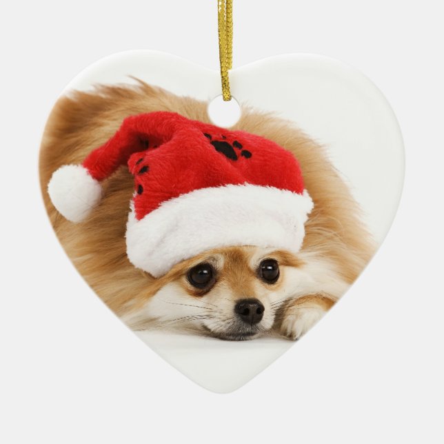 Ornement de Noël de Pomeranian (Devant)