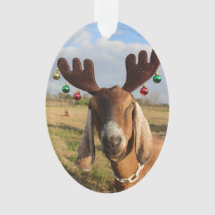 Ornement de Noël de renne de Nubian