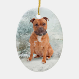 Ornement de Noël de Staffie