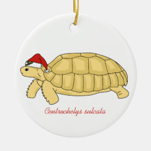 Ornement de Noël de tortue de Sulcata