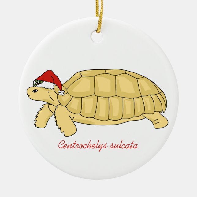 Ornement de Noël de tortue de Sulcata (Devant)