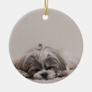 Ornement de Noël de tzu de sommeil Shih, chien de